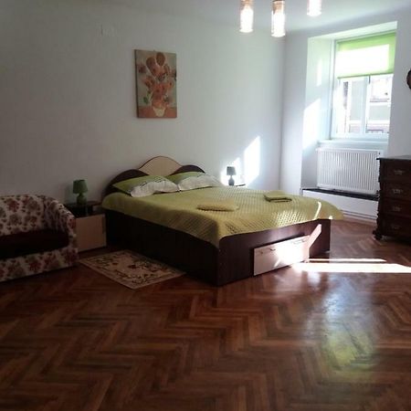 Charming Downtown Studio براشوف المظهر الخارجي الصورة