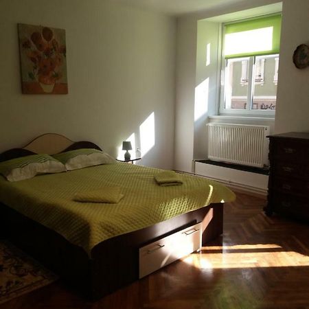 Charming Downtown Studio براشوف المظهر الخارجي الصورة
