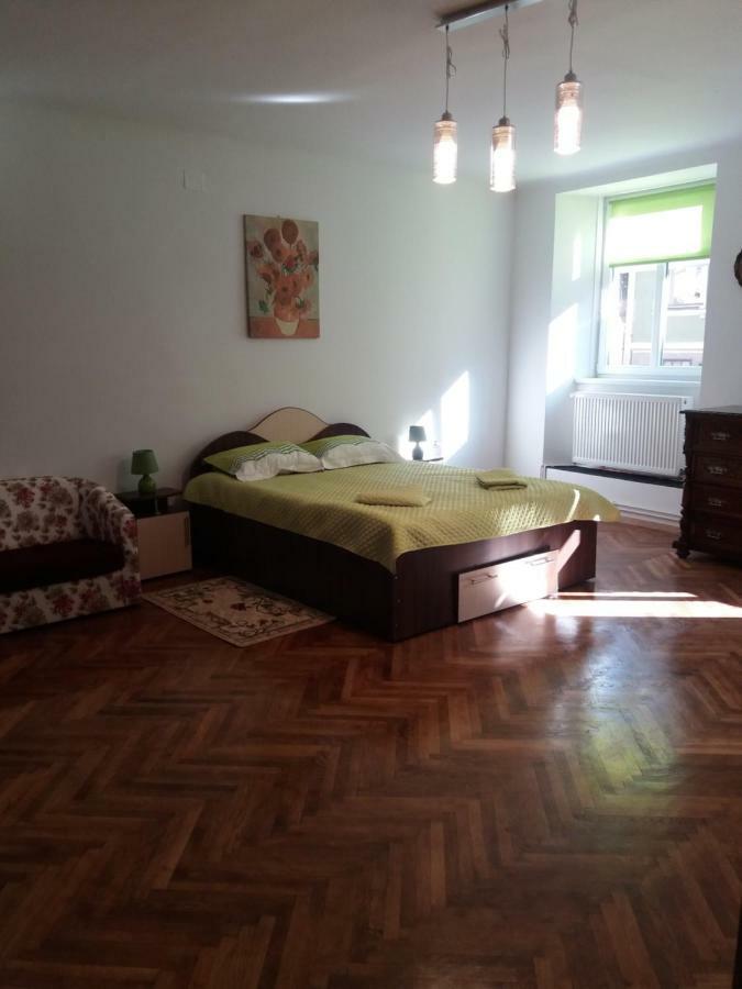 Charming Downtown Studio براشوف المظهر الخارجي الصورة