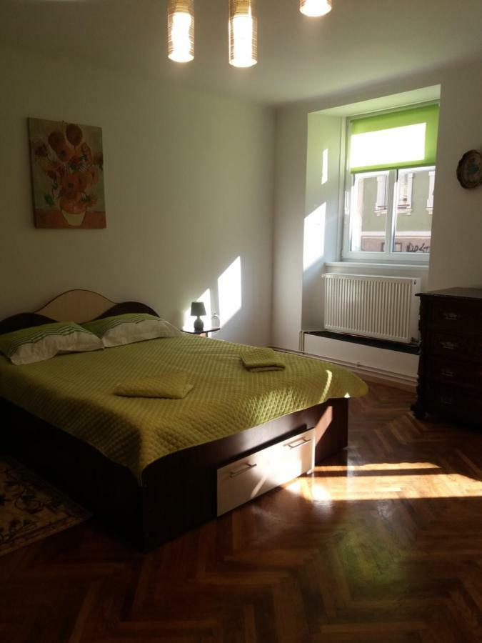 Charming Downtown Studio براشوف المظهر الخارجي الصورة